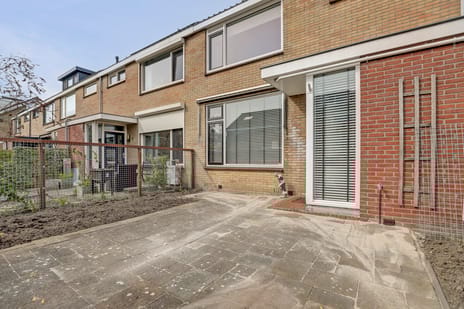 undefined main image