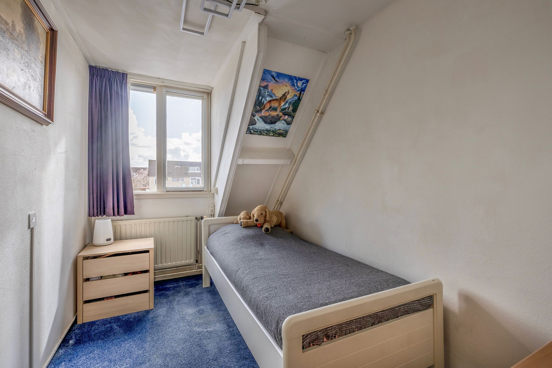 Foto 21 van Zuidplaslaan 68