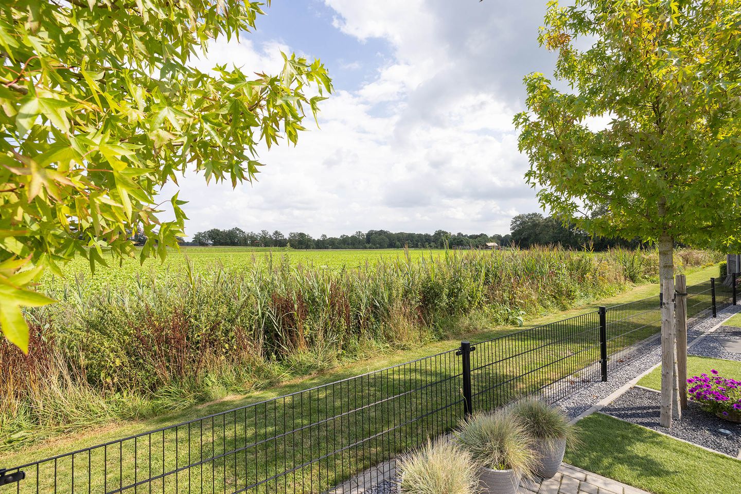 Foto 34 van Everlostraat 21