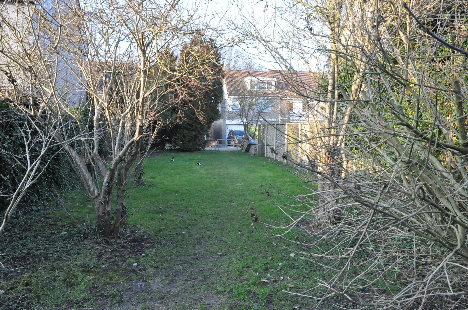 Foto 6 van Hartekruidpad 11