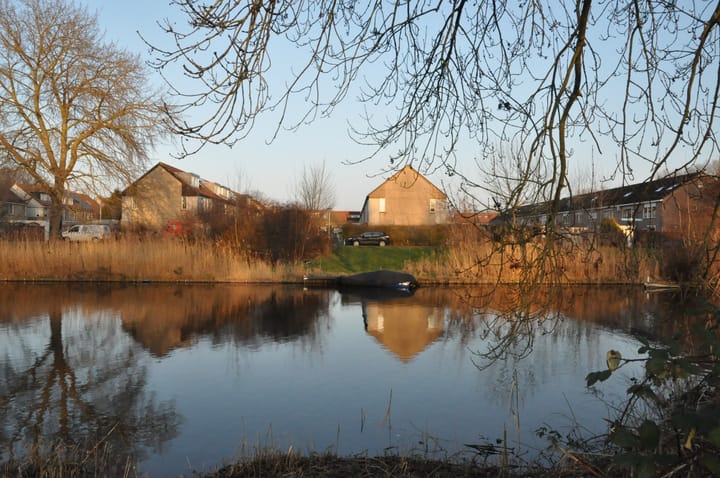 Foto 5 van Hartekruidpad 11