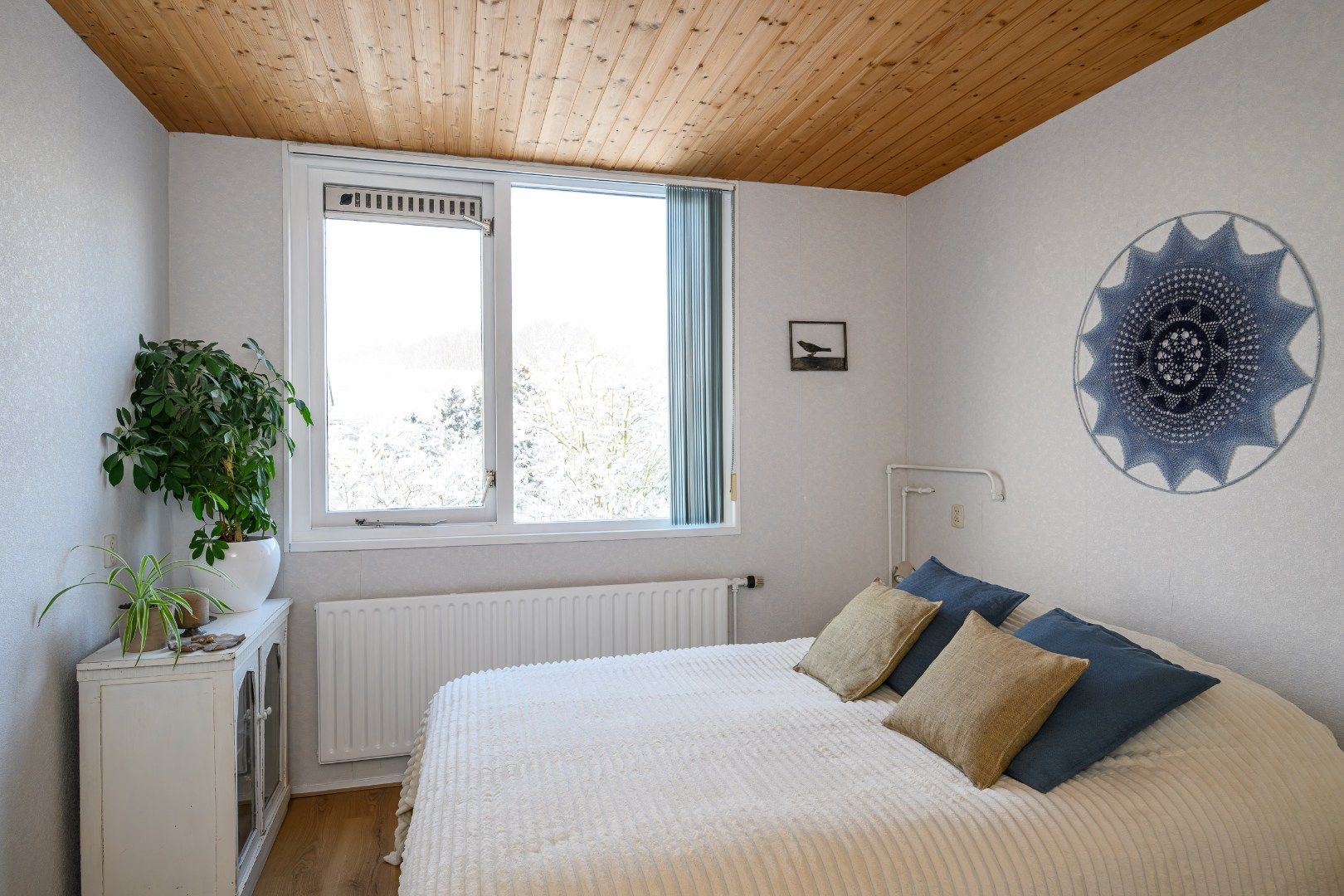 Foto 21 van Hartekruidpad 11