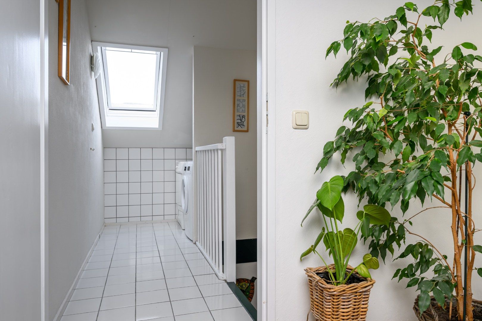 Foto 30 van Hartekruidpad 11