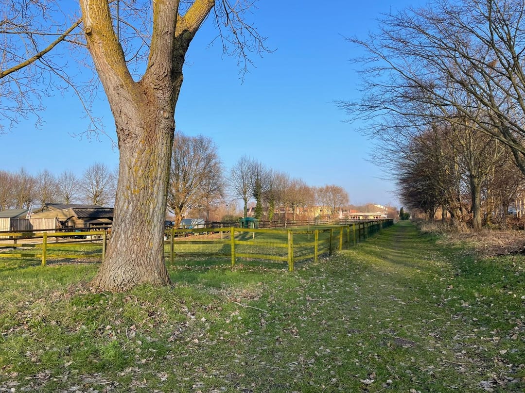 Foto 38 van Hartekruidpad 11