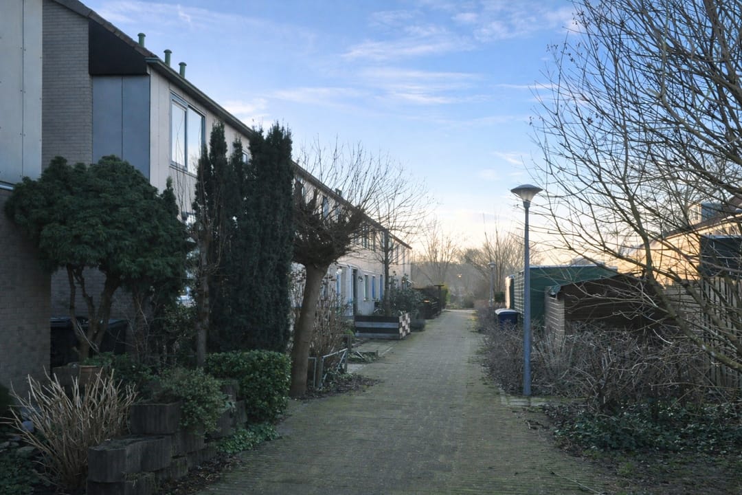 Foto 7 van Hartekruidpad 11