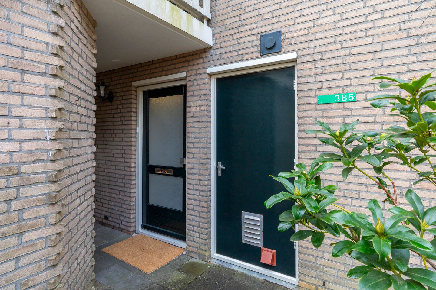 Photo 5 of Antilopespoor 385