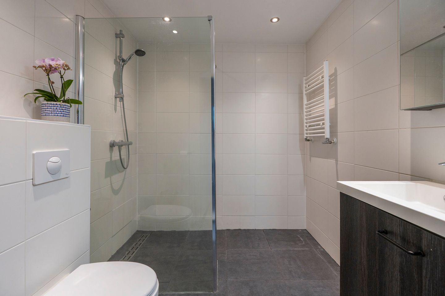 Photo 35 of Antilopespoor 385