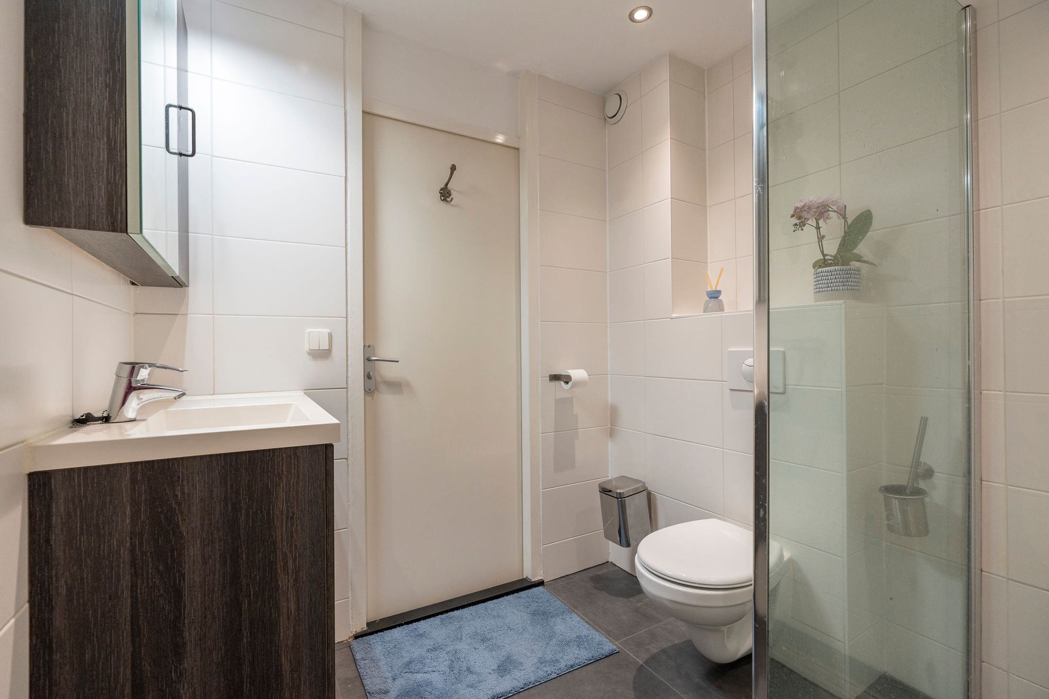 Photo 36 of Antilopespoor 385