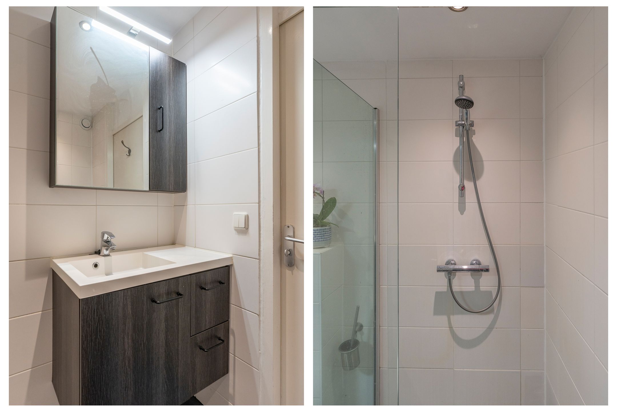 Photo 39 of Antilopespoor 385