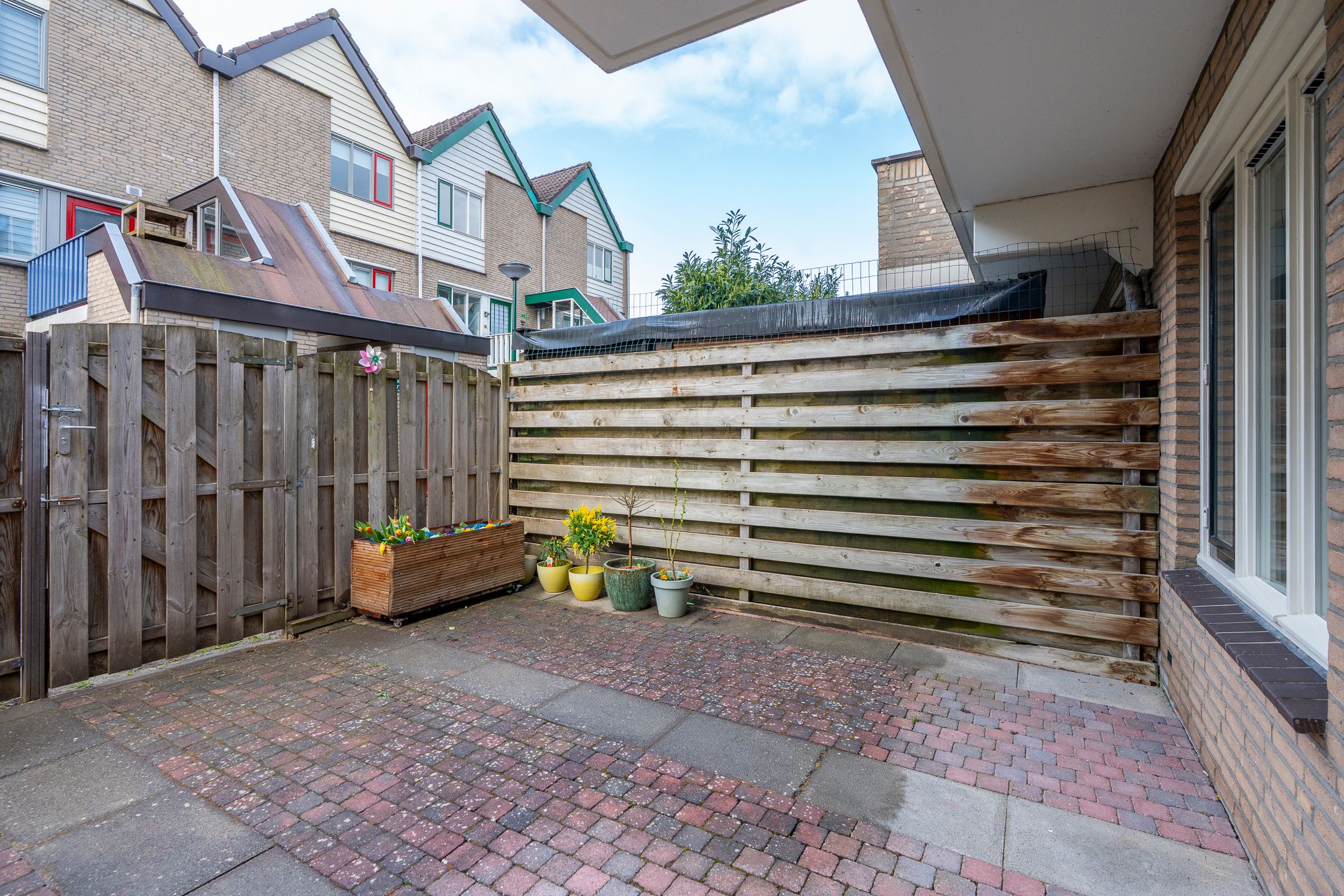 Photo 18 of Antilopespoor 385