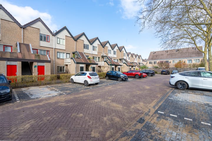 Photo 2 of Antilopespoor 385