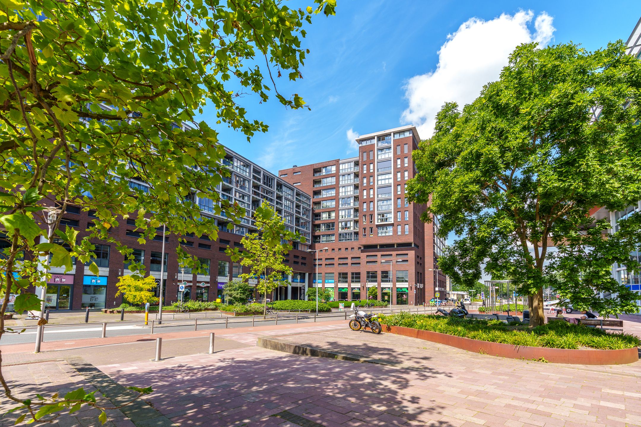 Photo 42 of Antilopespoor 385