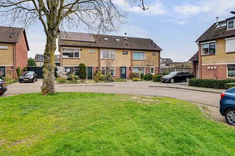 Van Speijkstraat thumbnail