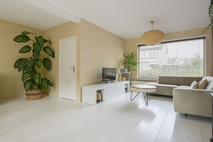 Photo 4 of Schaepmanlaan 49