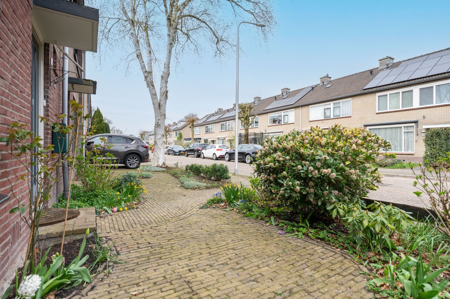 Foto 29 van Schaepmanlaan 49