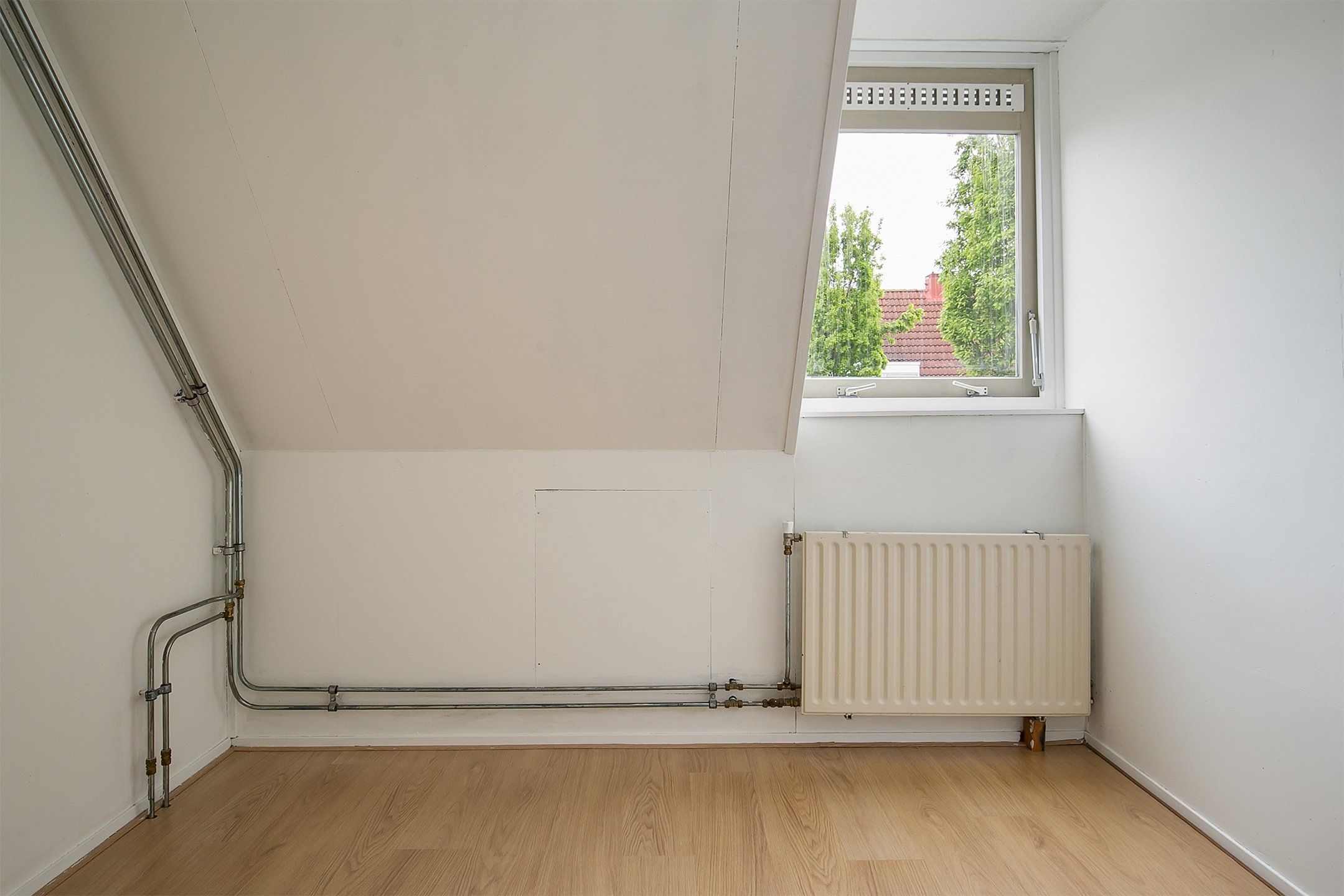 Photo 18 of Kaasjeskruid 25