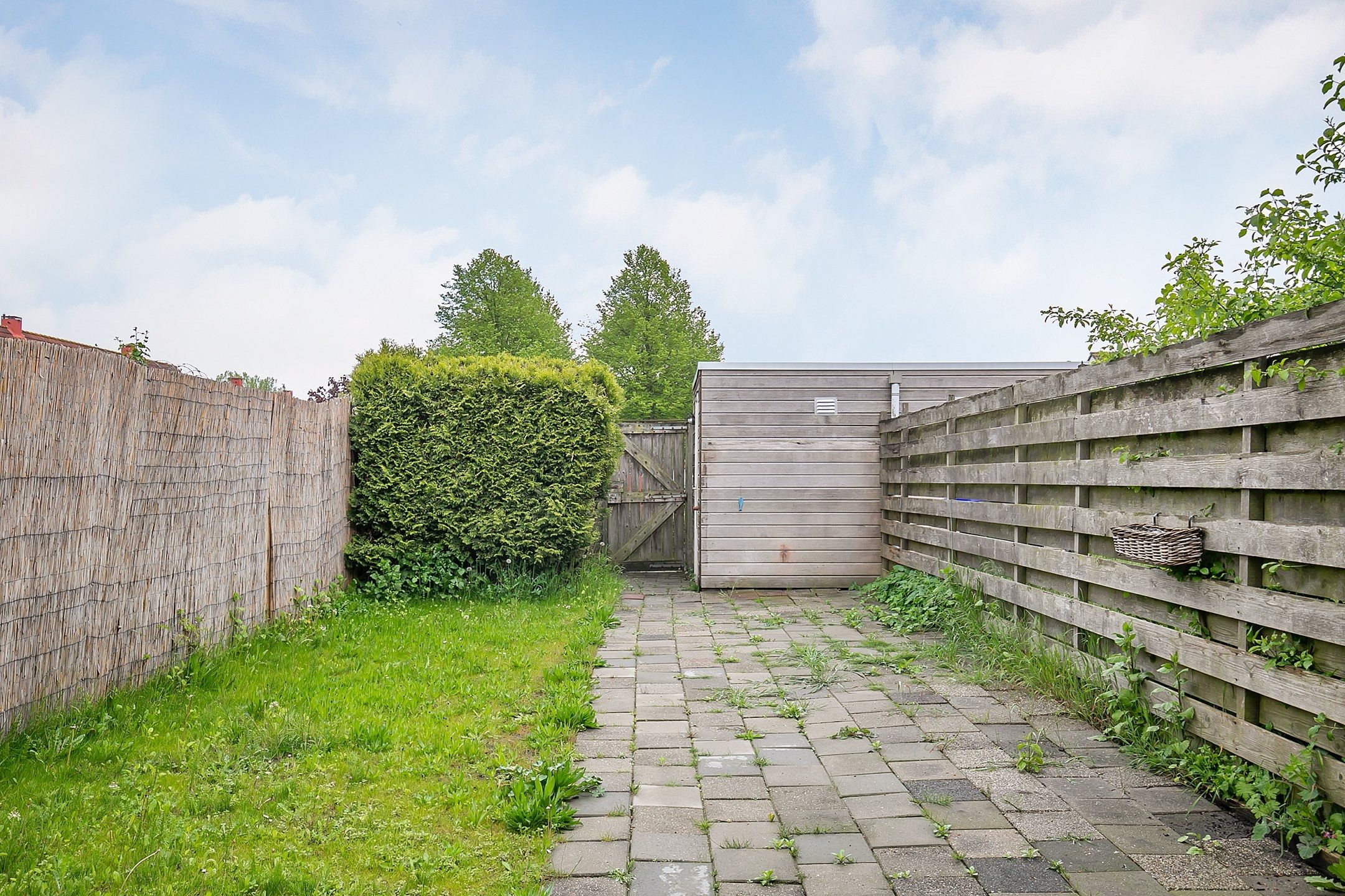 Photo 21 of Kaasjeskruid 25