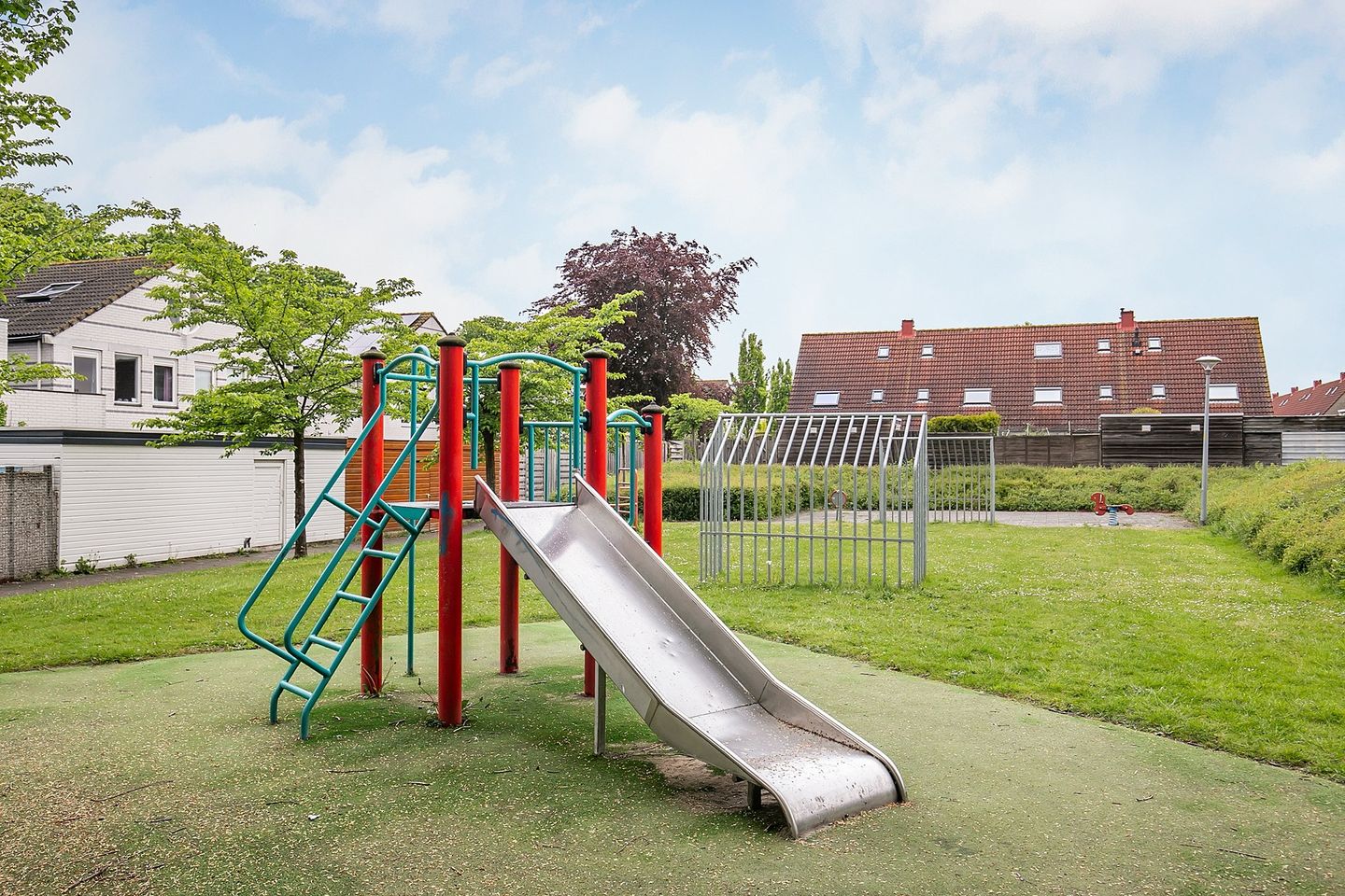 Photo 25 of Kaasjeskruid 25