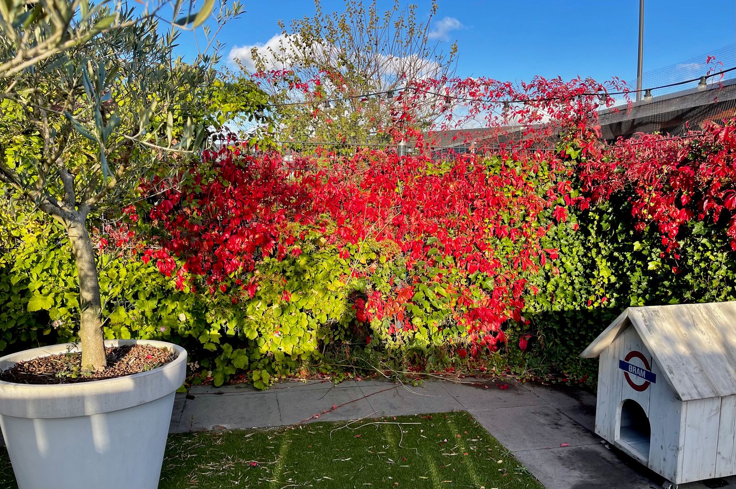 Spacious Family Home with Unobstructed Views in Nesselande — 32