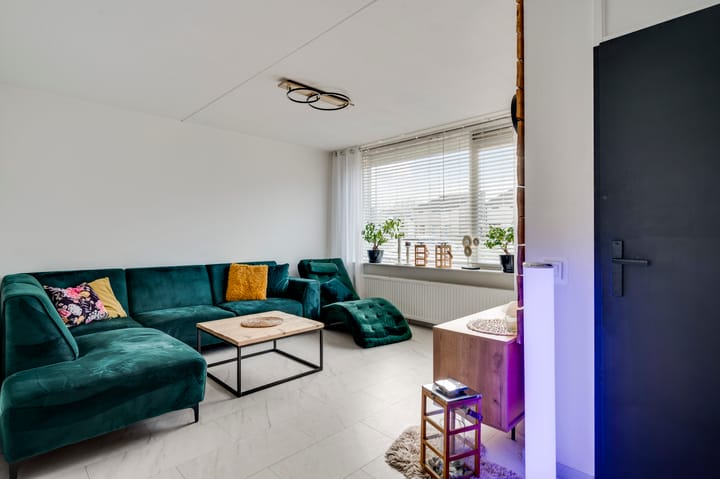 Foto 2 van Terborgh 29