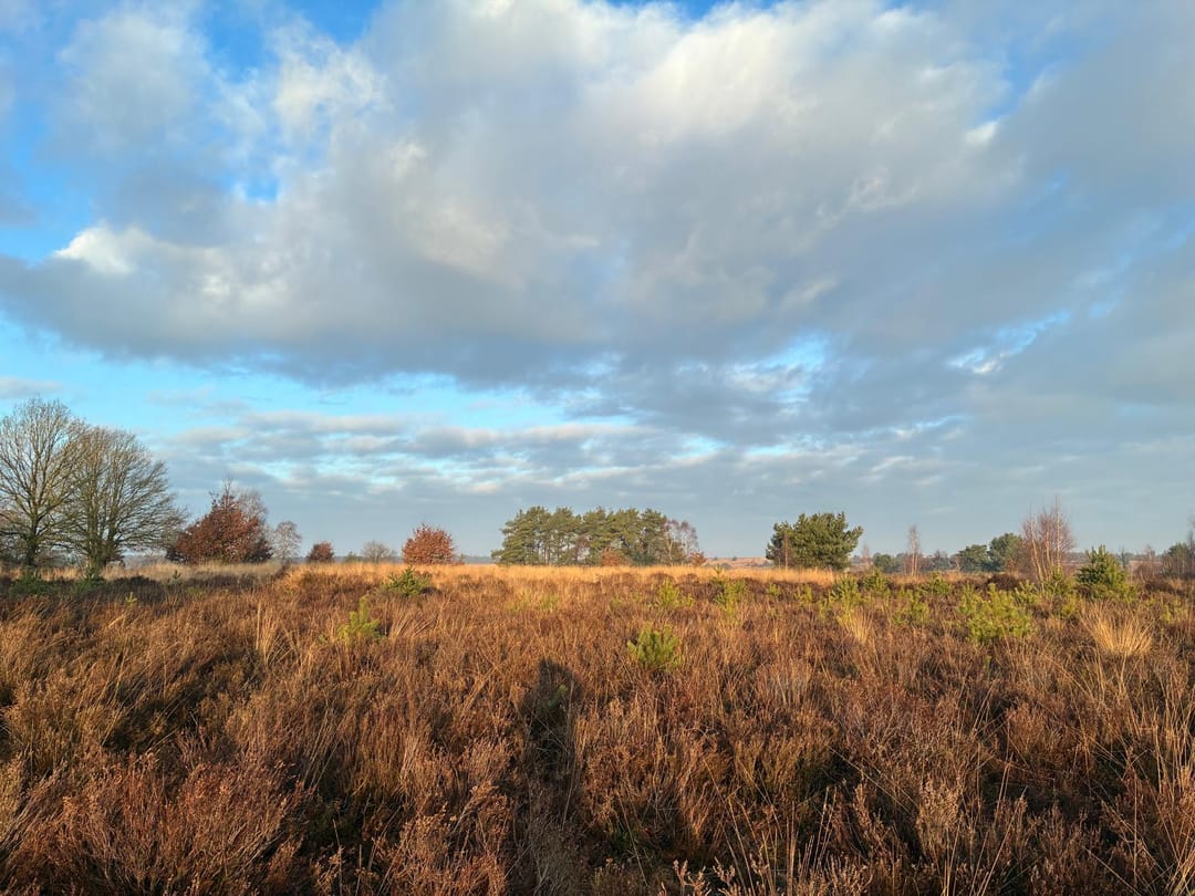 Foto 46 van Enkweg 32