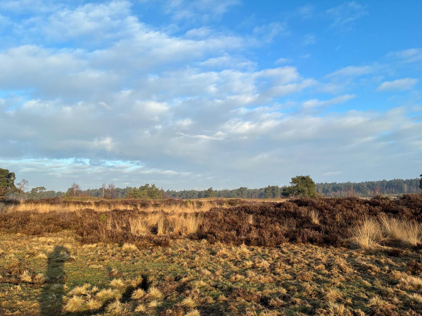 Foto 44 van Enkweg 32