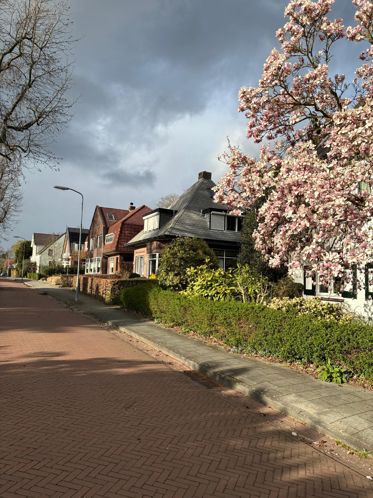 Foto 6 van Enkweg 32