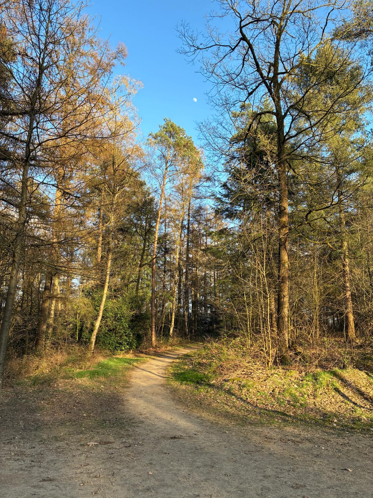 Foto 48 van Enkweg 32