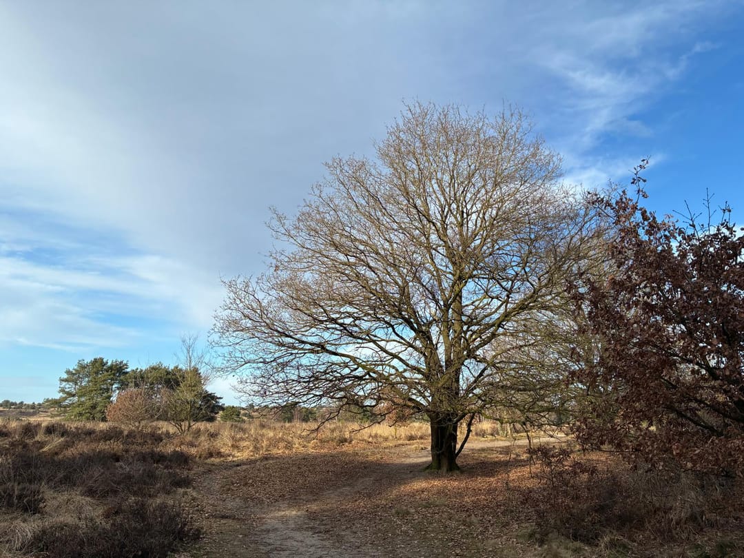 Foto 43 van Enkweg 32