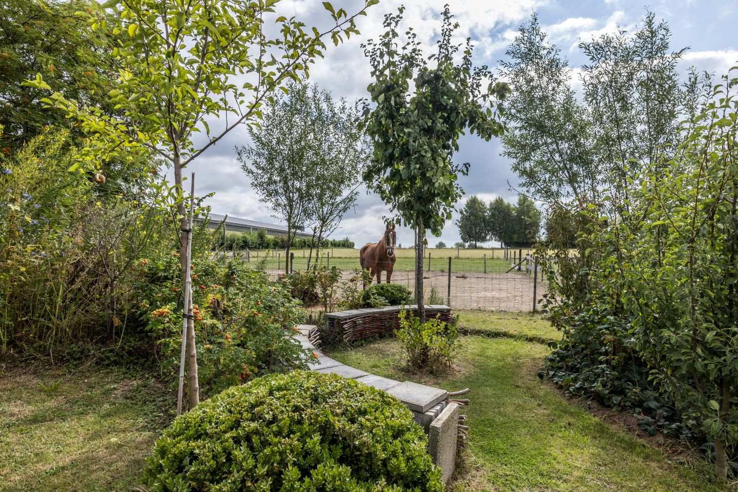 Foto 79 van Reijmerstokkerdorpsstraat 127