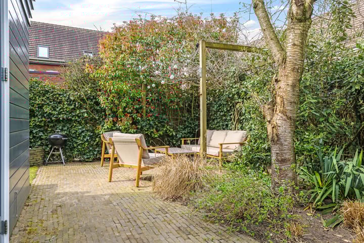 Foto 3 van Eldense Blauwe 8