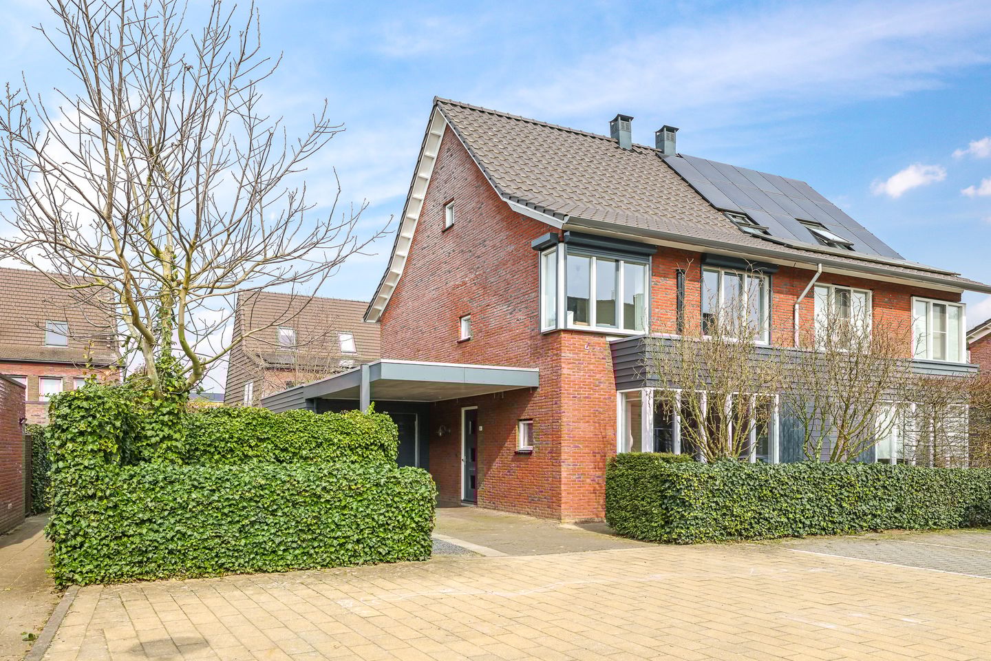 Foto 1 van Eldense Blauwe 8