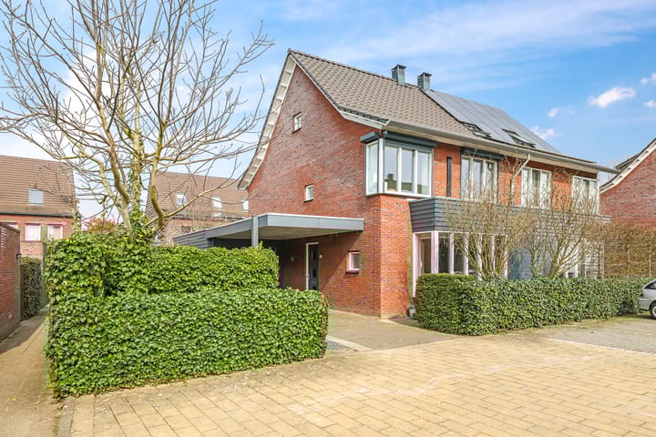 Foto 4 van Eldense Blauwe 8