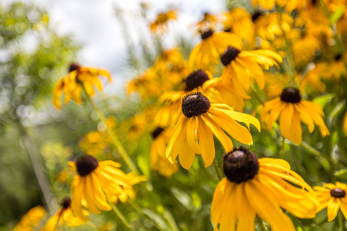 Foto 80 van Reijmerstokkerdorpsstraat 127