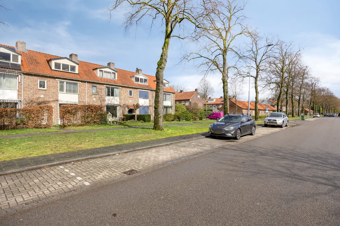 Foto 46 van Hooghout 3