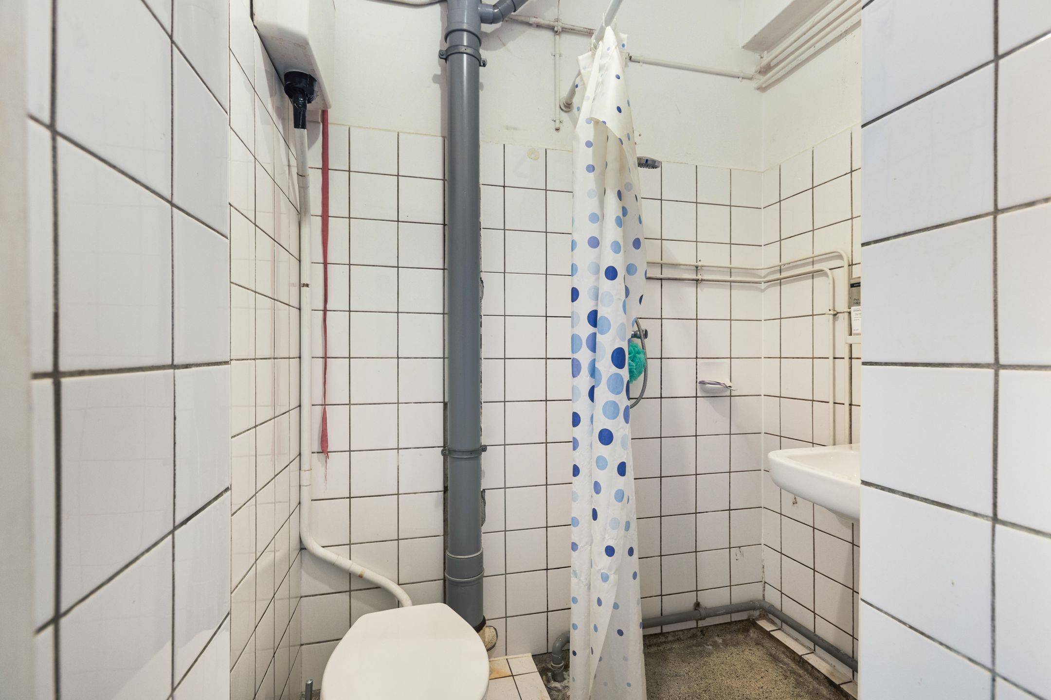 Photo 12 of Wijnstraat 169