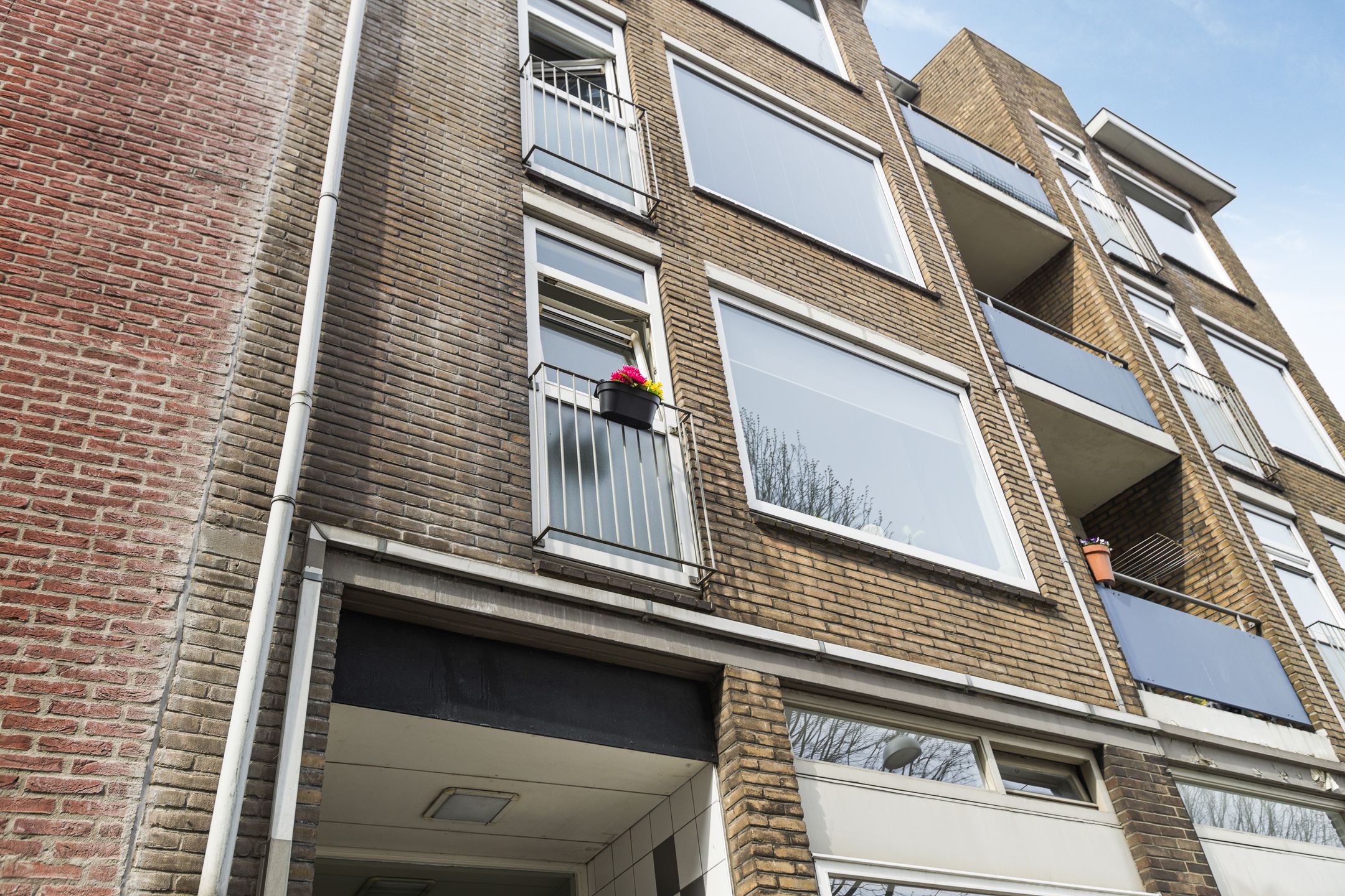 Photo 18 of Wijnstraat 169