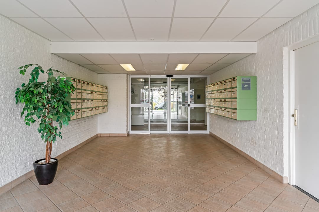 Foto 26 van Suze Groenewegstraat 179