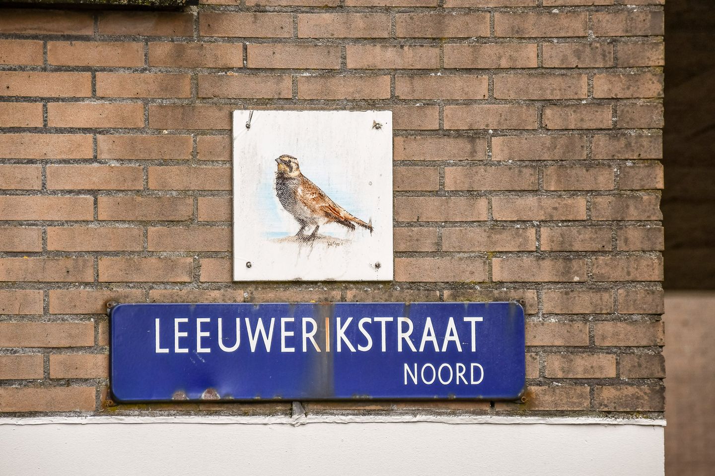 Foto 29 van Leeuwerikstraat 12-B