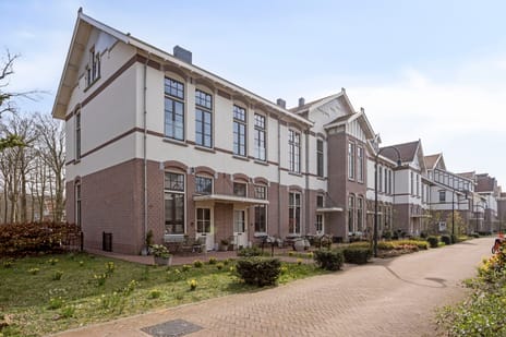 undefined main image