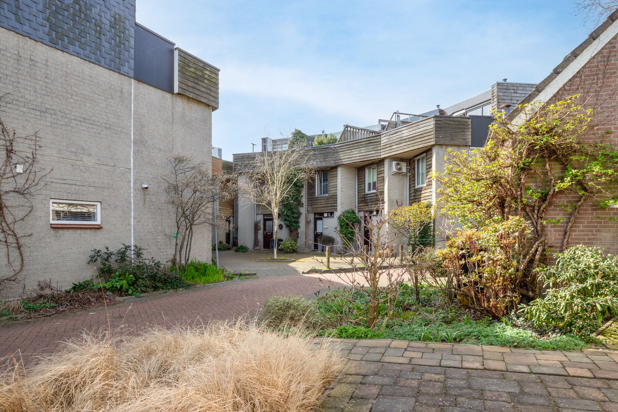 Foto 63 van Zwanebloem 34