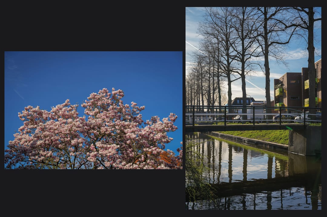 Foto 32 van Meent 11