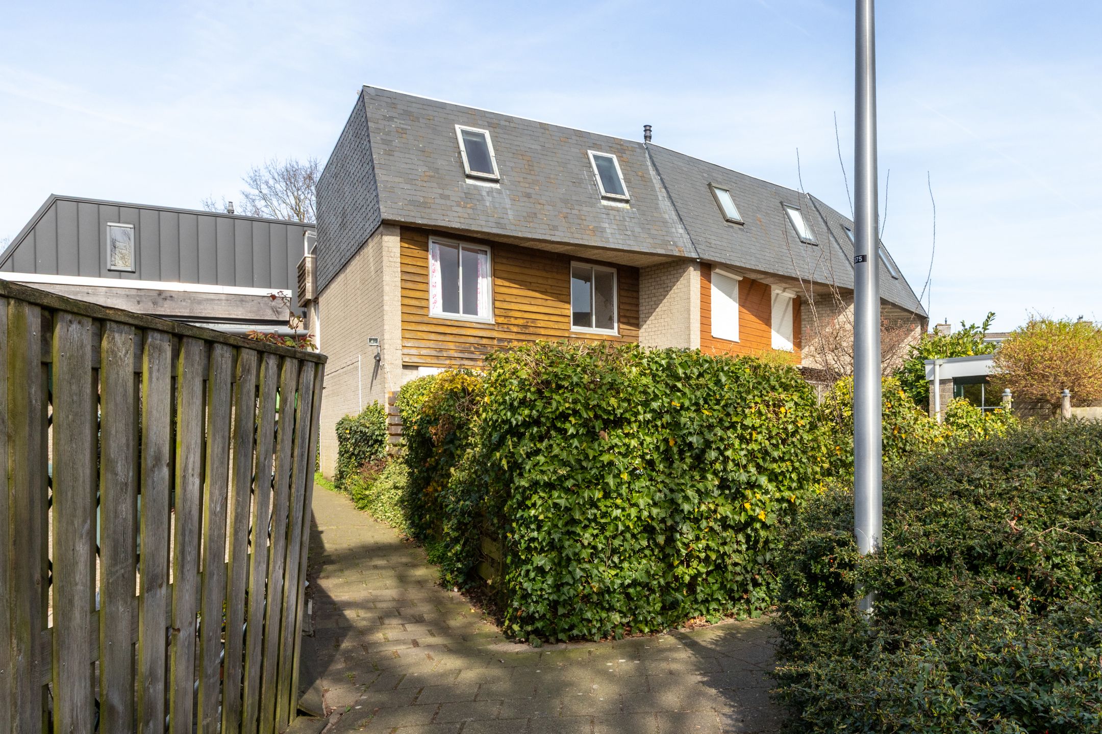 Foto 60 van Zwanebloem 34