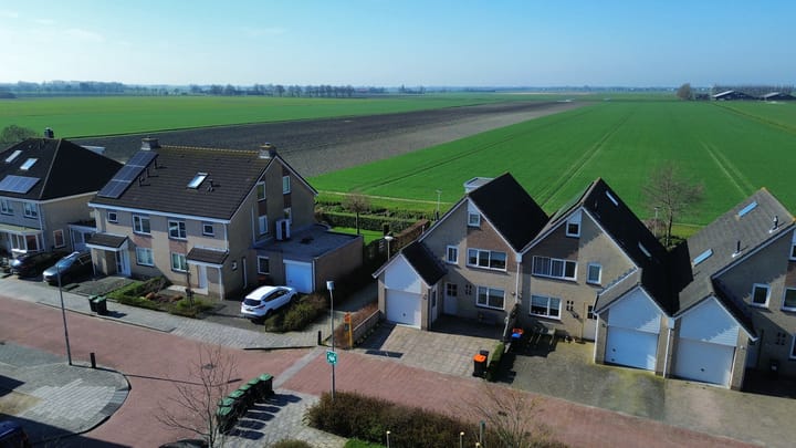 Foto 2 van Vogelwikke 14