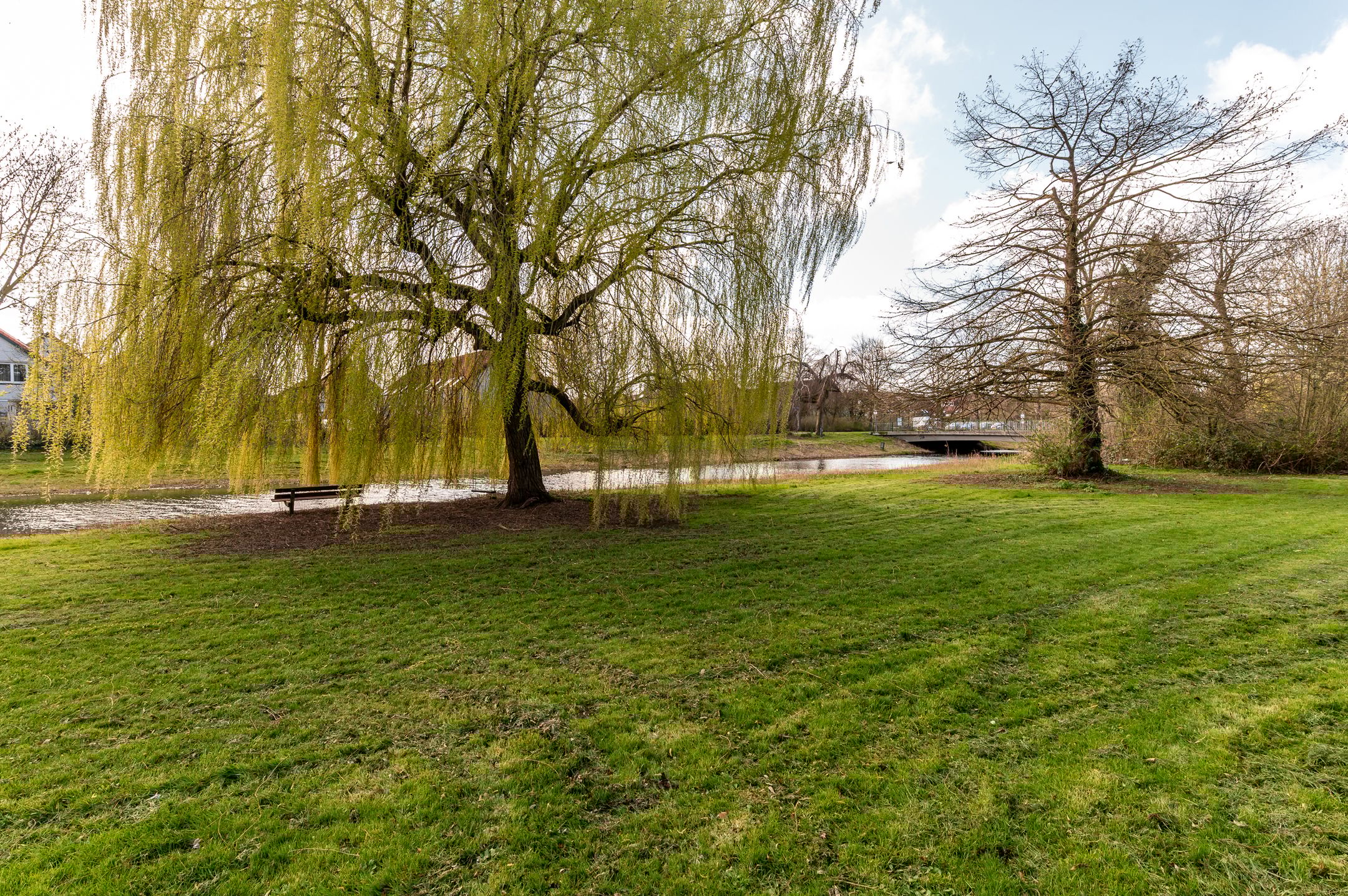 Foto 33 van Kogge 12 46