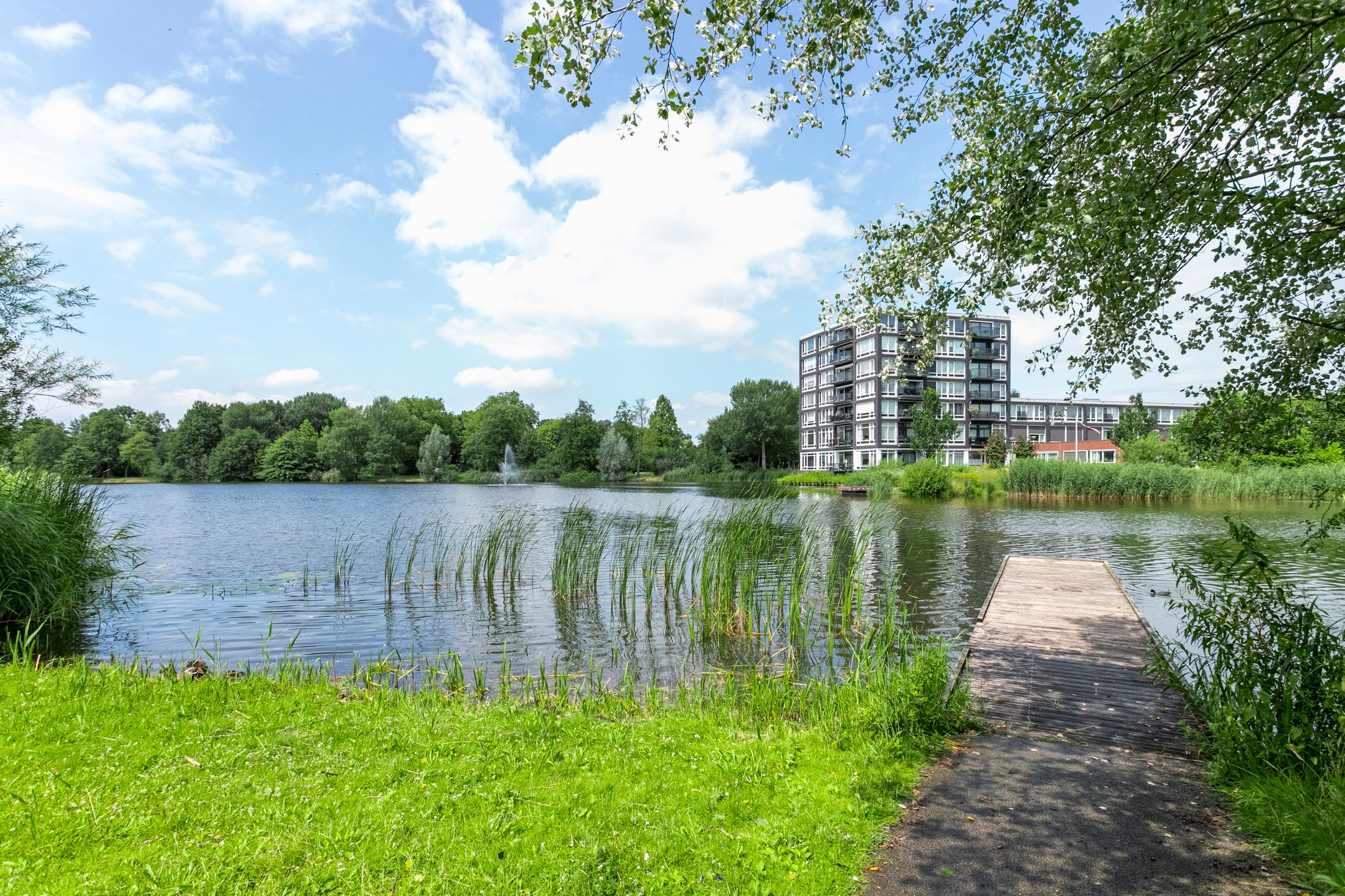 Photo 33 of Jan Frankenstraat 30