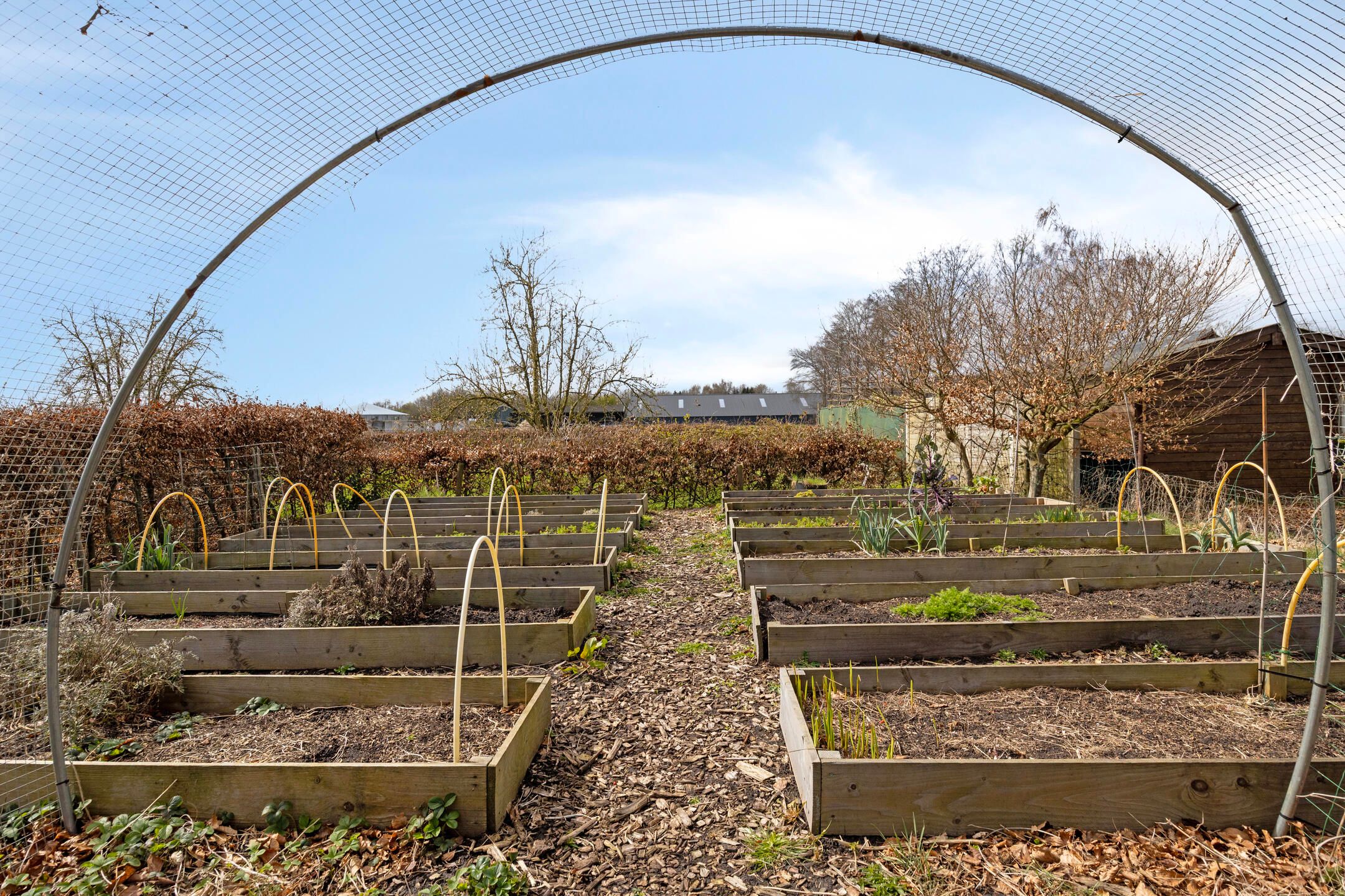 Foto 72 van Achterdiep 27