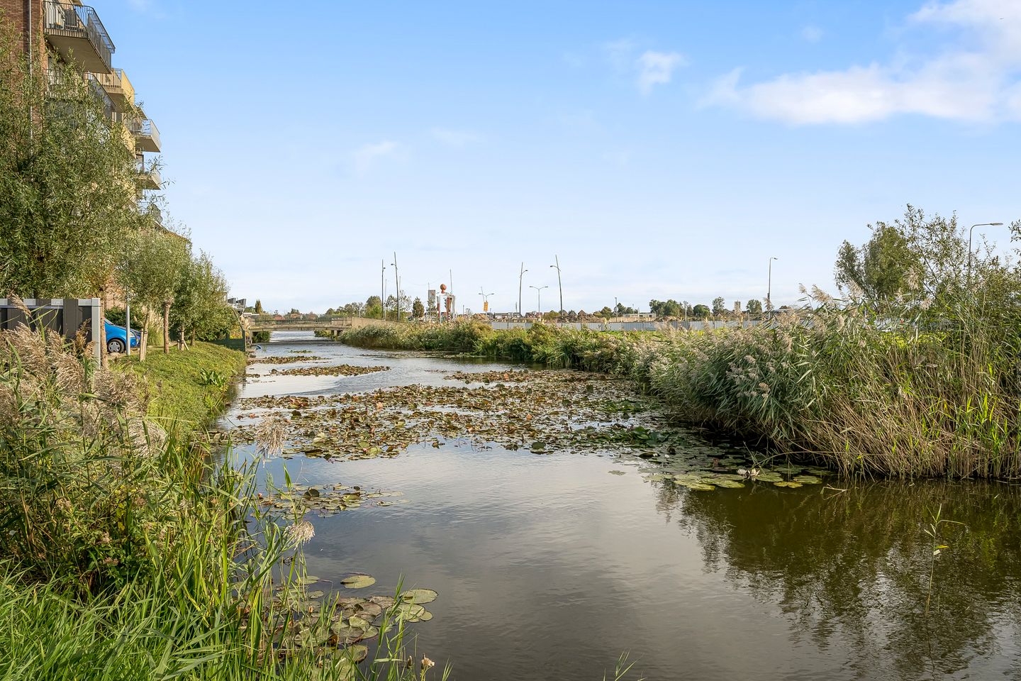 Photo 64 of Witte Ring 123