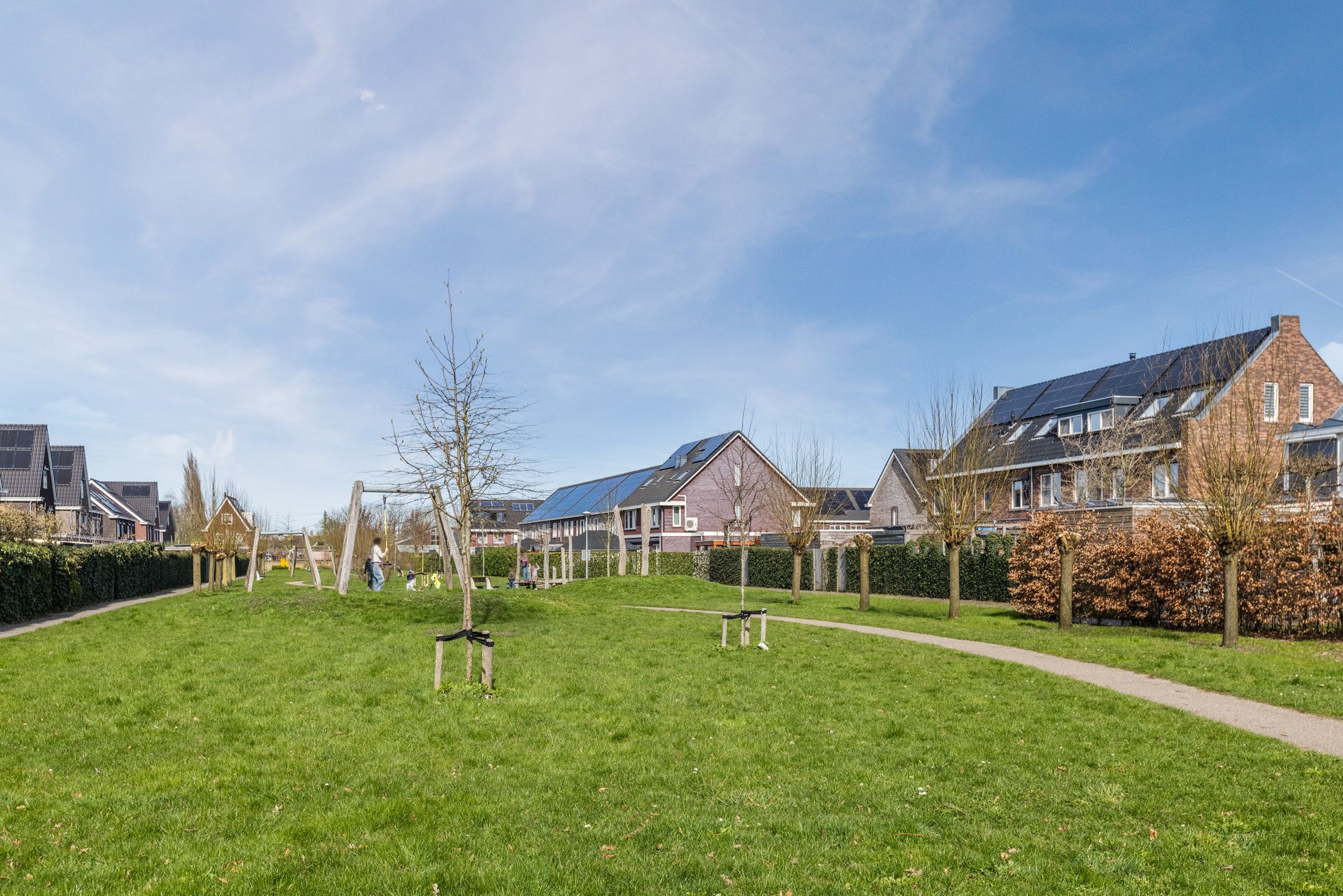 Photo 72 of Penningkruid 88