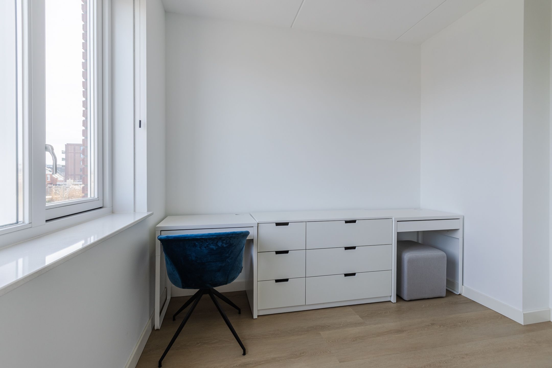 Photo 33 of Penningkruid 88